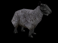 sheep.jpg.01ea1baaef0f9980ad40b2c299edf2